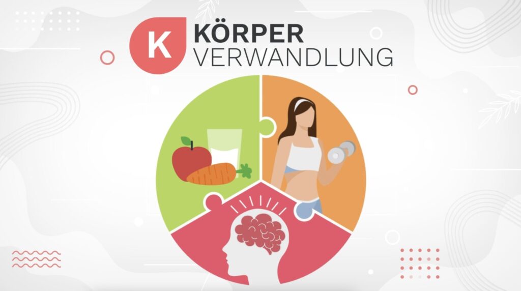 Kuchendiagramm mit den drei Komponenten der online Ernährungsberatung Körperverwandlung: Ernährung, Bewegung und Mindset